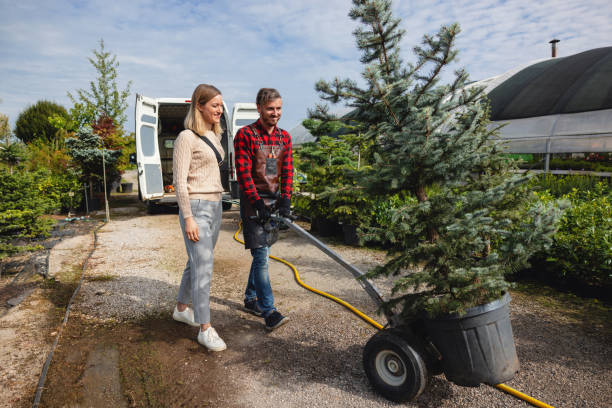 Soil Testing and Treatment in Winneconne, WI